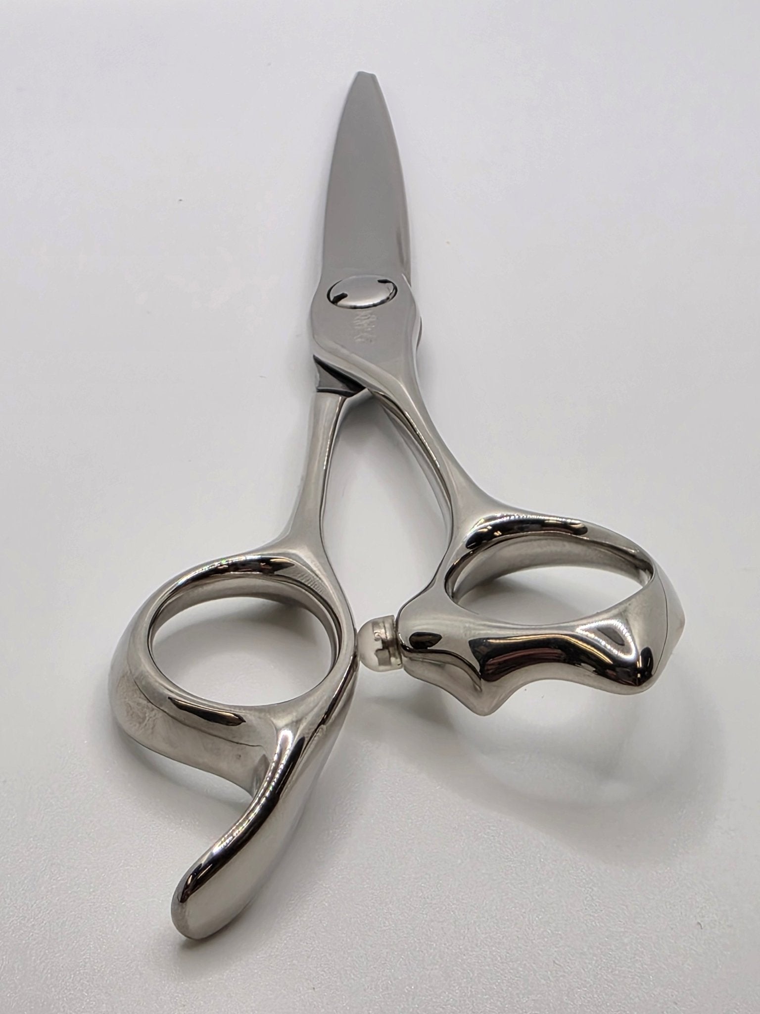 Reiki Shears - Prism 6.5 Inch Shear - Reiki Shears